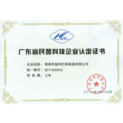 Guangdong Private Technology Enterprise Certificate